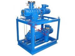 ZBK-16型羅茨真空泵及東北水環羅茨真空機組的價格與商業應用