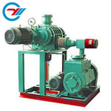 上海巖湖真空泵制造廠 專業生產與銷售真空泵及真空設備解決方案