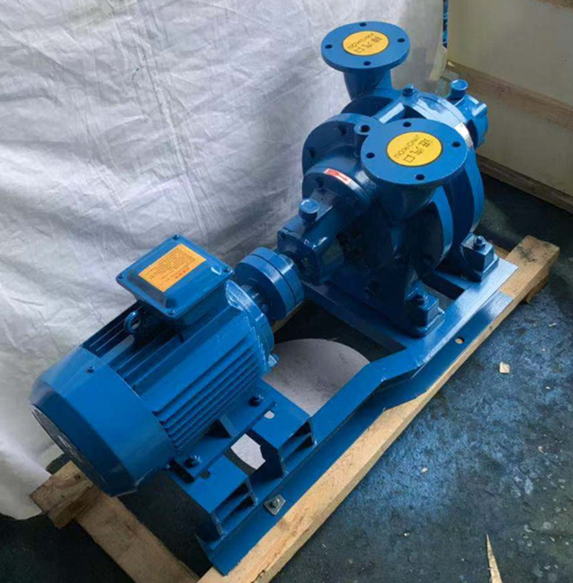 水環式真空泵排氣口冒煙原因分析與解決方案